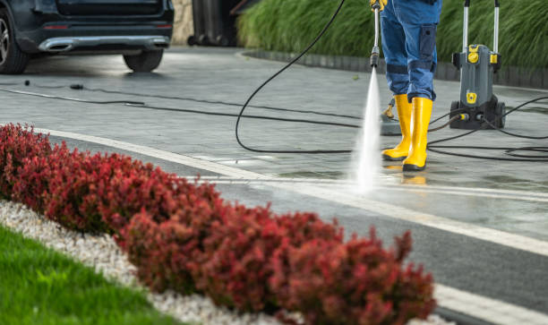 Best Dumpster Area Cleaning  in San Marcos, CA
